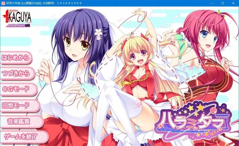 A5148 怀孕大作战[汉化硬盘版]
